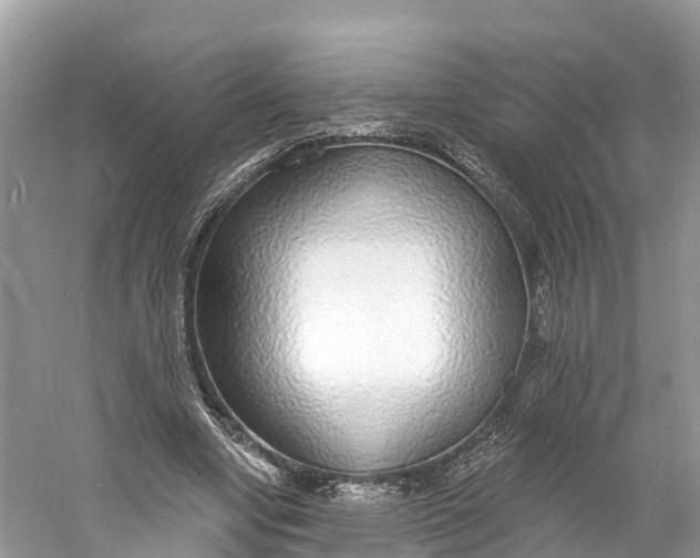 X0000060810442200512011804