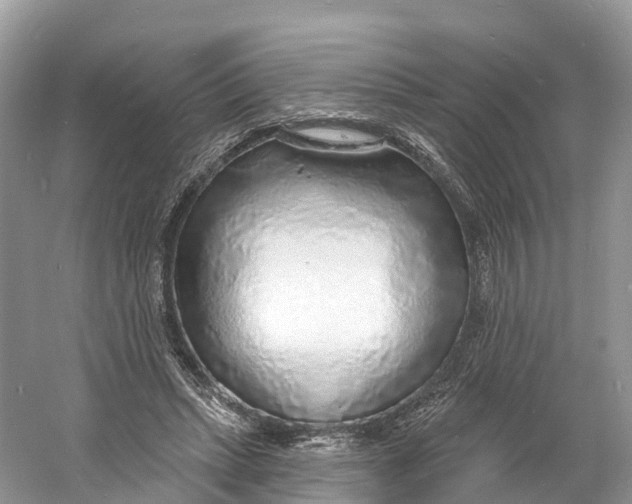 X0000060810447200512011804