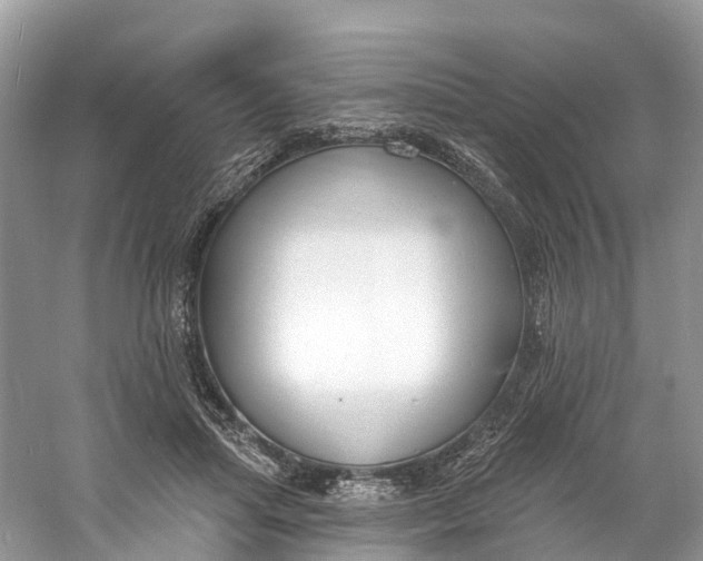 X0000060810455200512011804