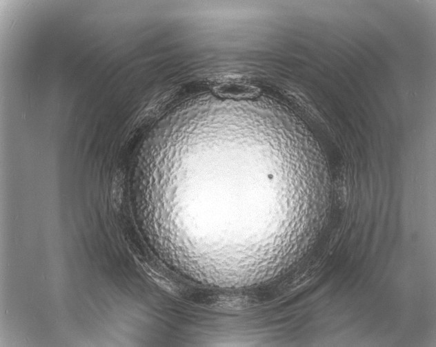X0000060810458200512011804