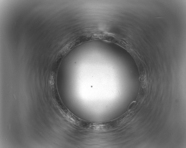 X0000060810472200512011804