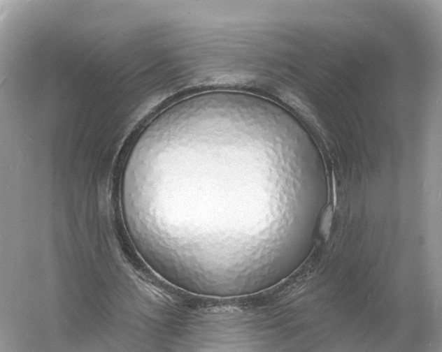 X0000060810483200512011804