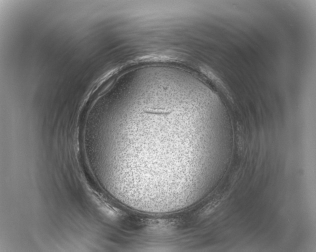X0000060810486200512011804