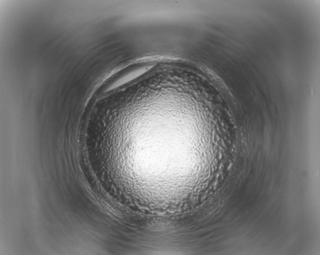 X0000060810487200512011804