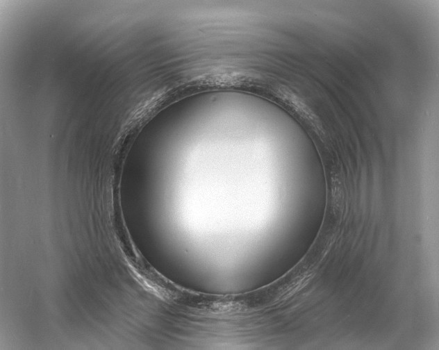 X0000060810493200512011804