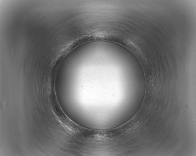 X0000060810496200512011803