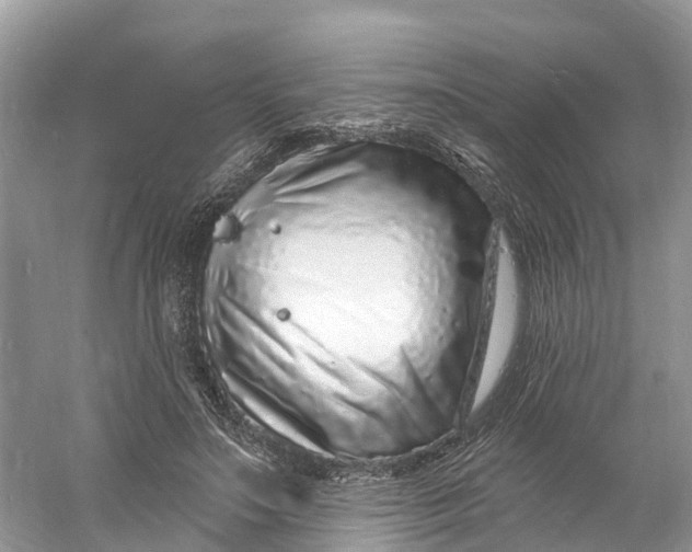 X0000060810499200512011803
