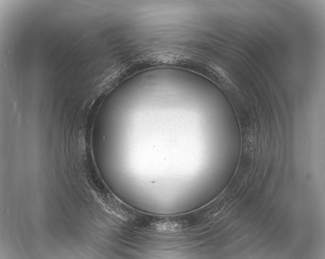 X0000060810500200512011803