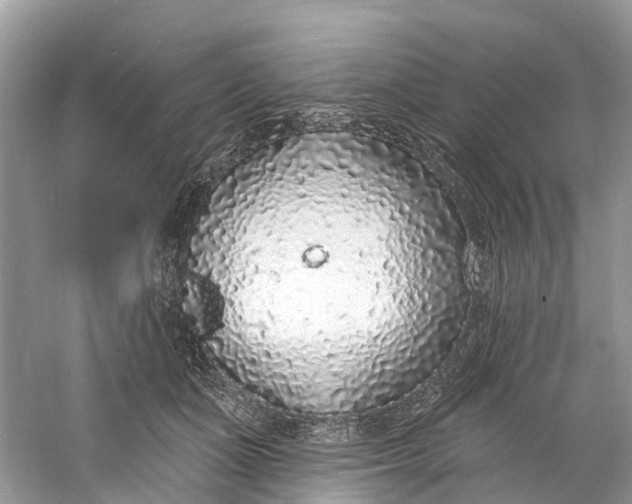 X0000060810511200512011803