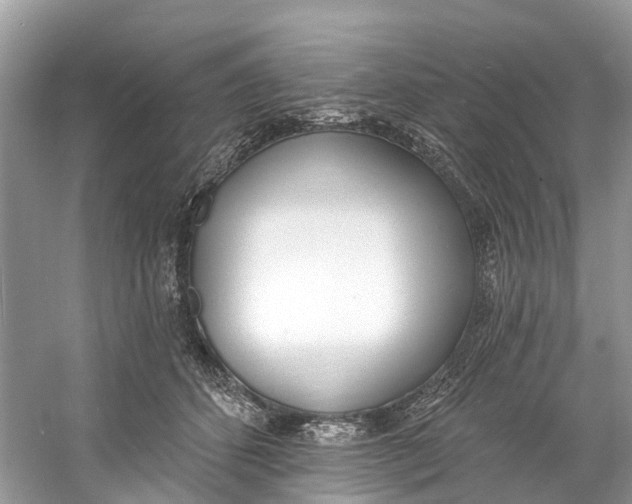 X0000060810512200512011803