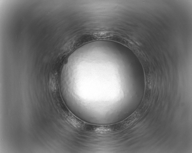 X0000060810515200512011803