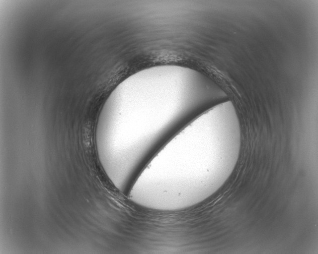 X0000060810517200512011803