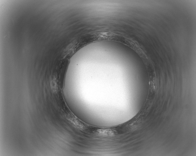 X0000060810520200512011803