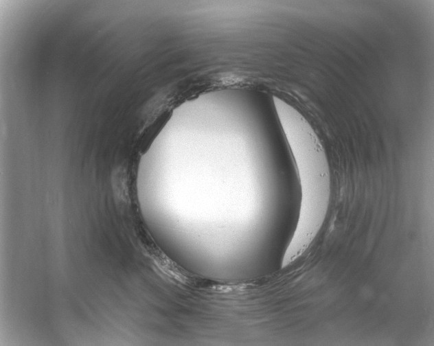 X0000060810524200512011803