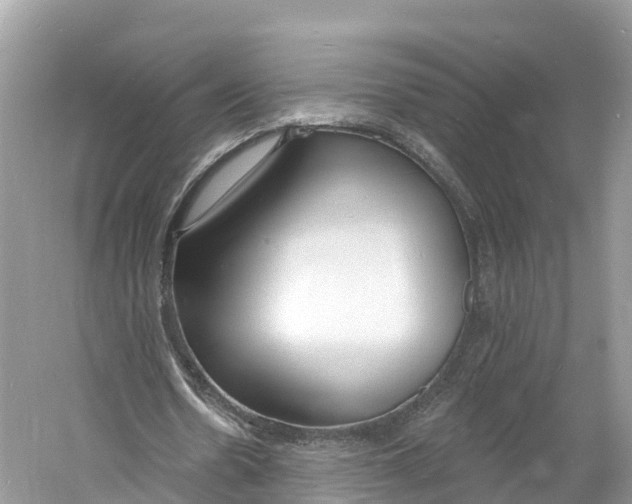 X0000060810530200512011802