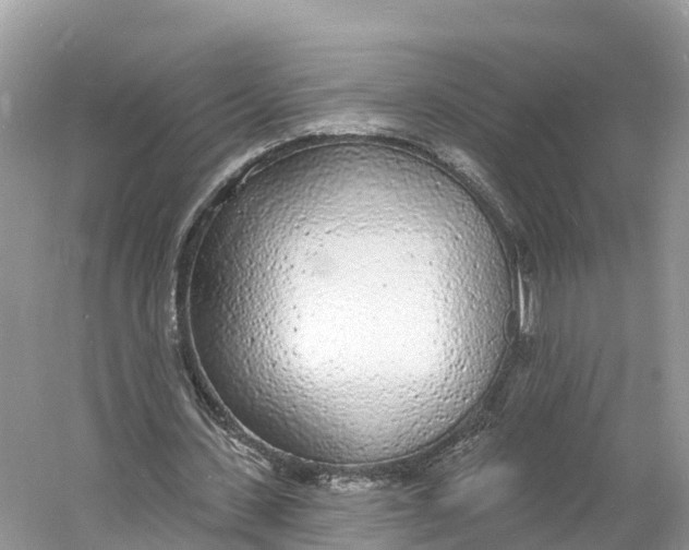 X0000060810531200512011802