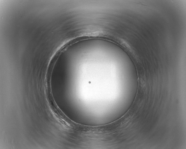 X0000060810532200512011802