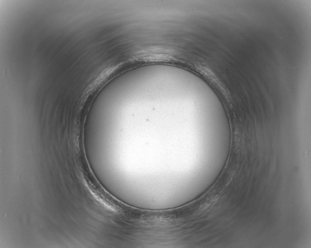 X0000060810533200512011802