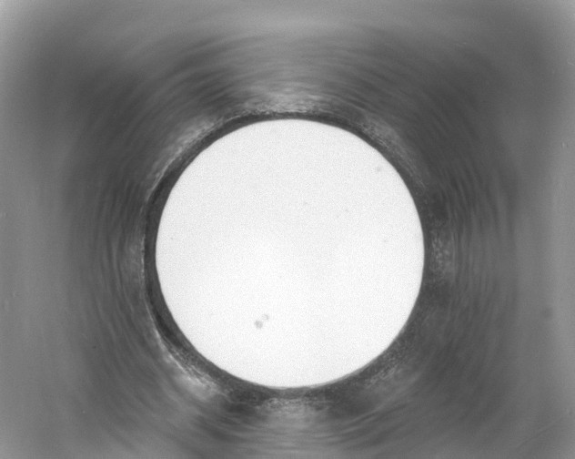 X0000060810534200512011802
