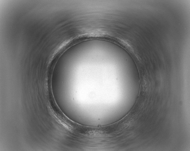 X0000060810535200512011802