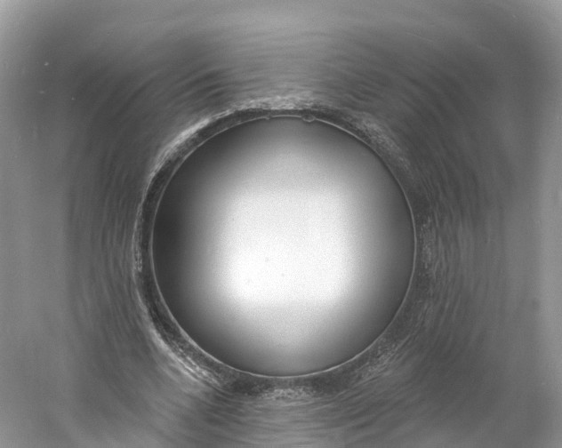 X0000060810536200512011802