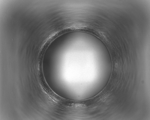X0000060810539200512011802