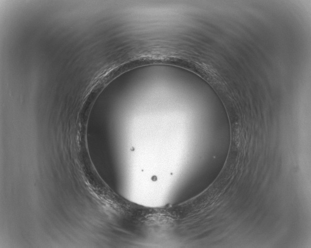 X0000060810544200512011802