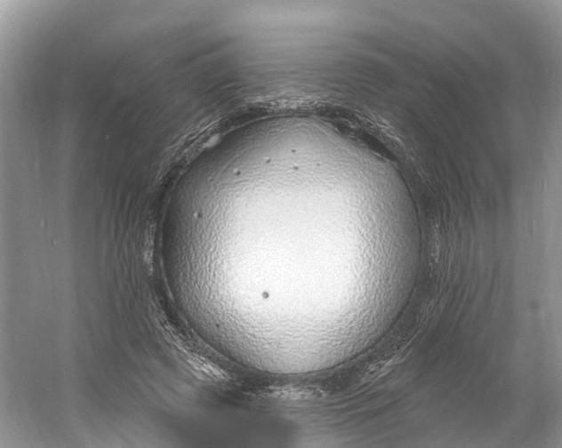 X0000060810545200512011802