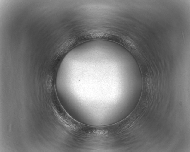 X0000060810546200512011802