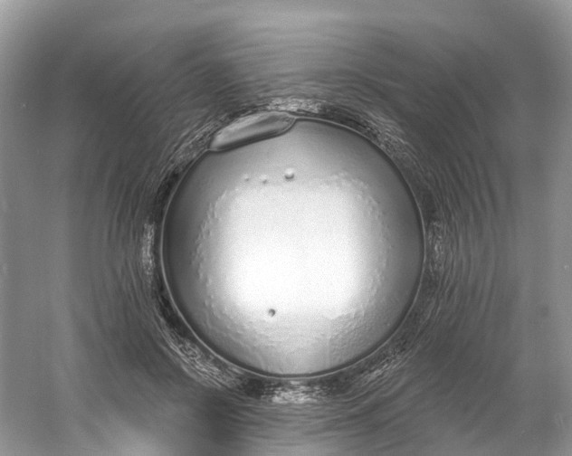 X0000060810550200512011802