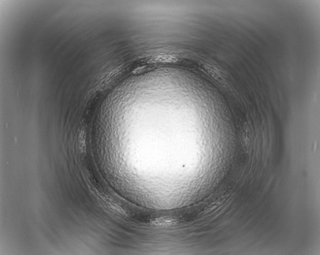 X0000060810551200512011802