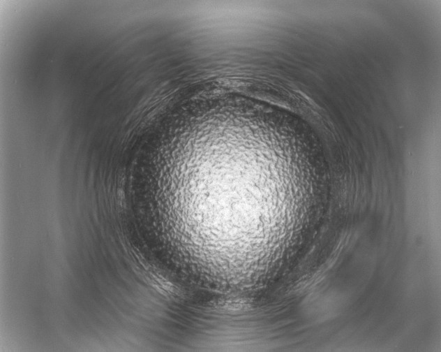 X0000060810553200512011803