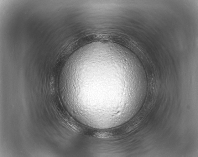 X0000060810557200512011803