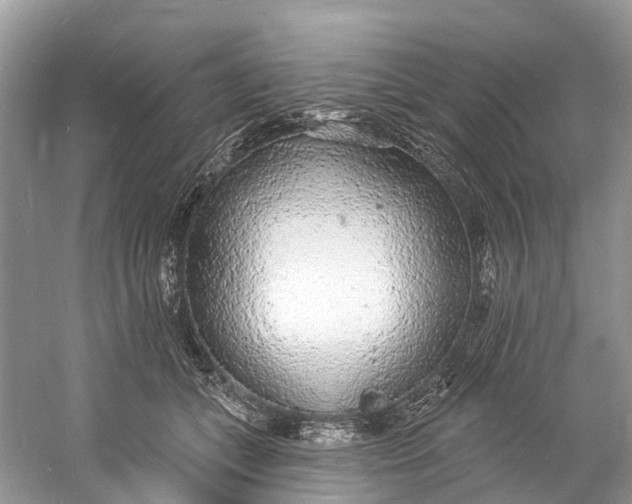 X0000060810559200512011803