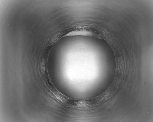 X0000060810562200512011803