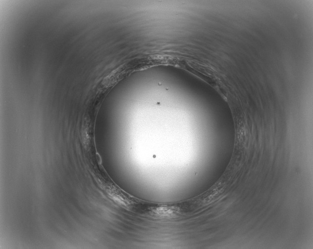 X0000060810566200512011803