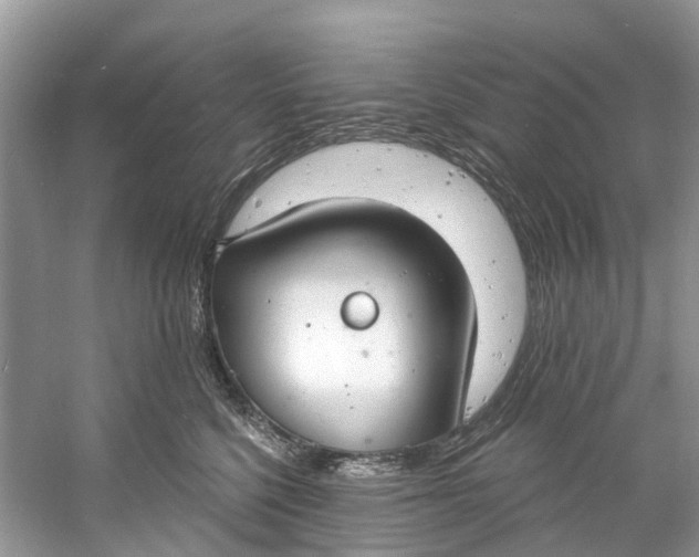 X0000060810568200512011803