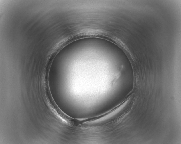 X0000060810581200512011802
