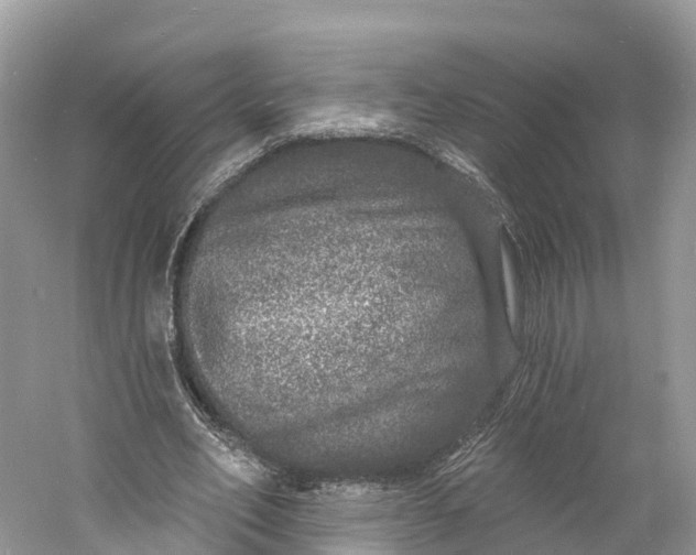 X0000060810582200512011802