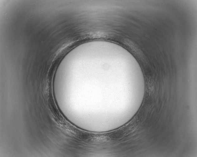 X0000060810583200512011802