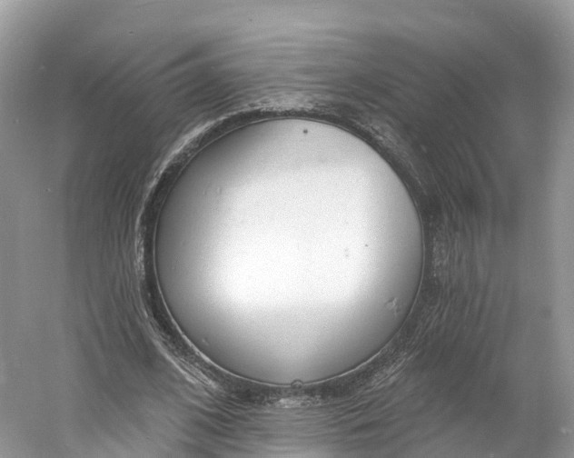 X0000060810584200512011802