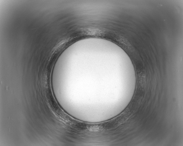 X0000060810587200512011802