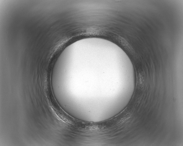 X0000060810588200512011802