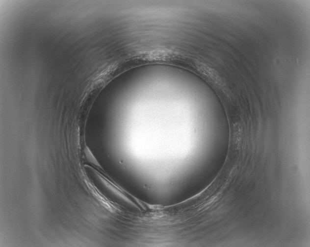 X0000060810589200512011802