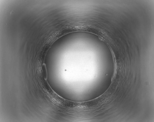 X0000060810593200512011802