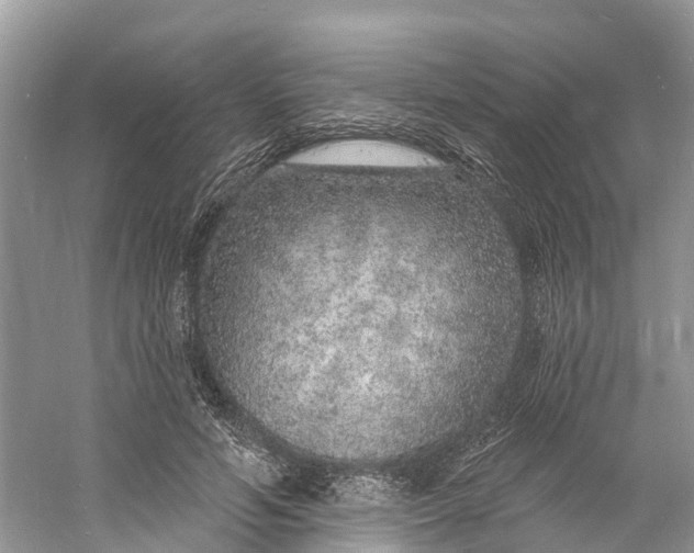 X0000060810594200512011802