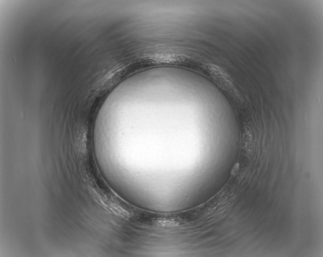 X0000060810596200512011802