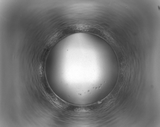 X0000060810597200512011802