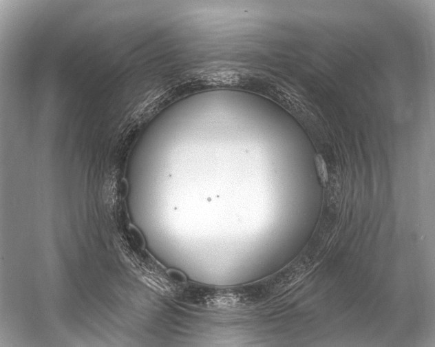 X0000060810600200512011802