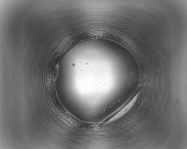 X0000060810601200512011802